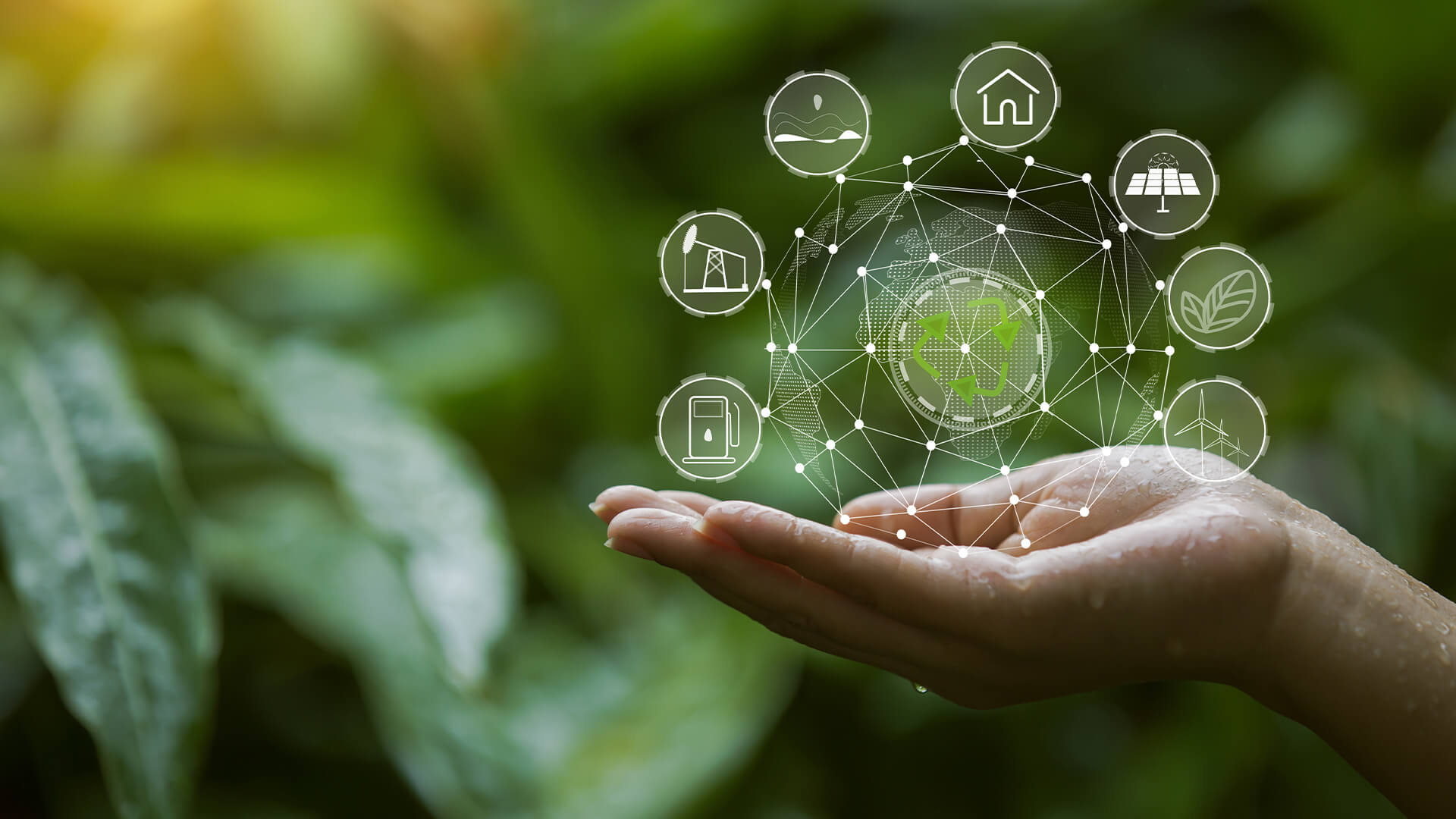 adana-environmental-consultancy